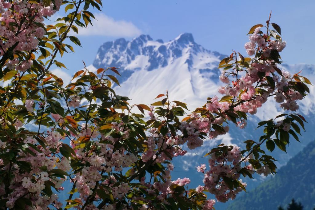 Panorama Hotel Kaserer Fischen im Allgaeu Buitenkant foto